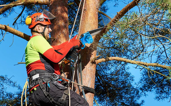 6" Cordless Electric Chainsaw