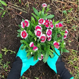 Gardening Gloves With Claws