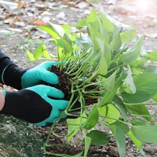 Gardening Gloves With Claws