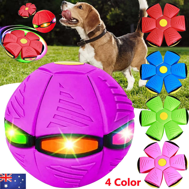 UFO Flying Pet Ball