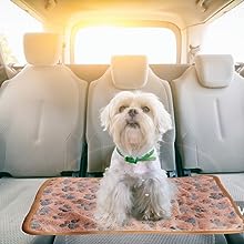 Paw Print Pet Blanket